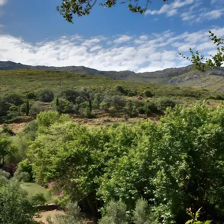 River House Andros Vitali
